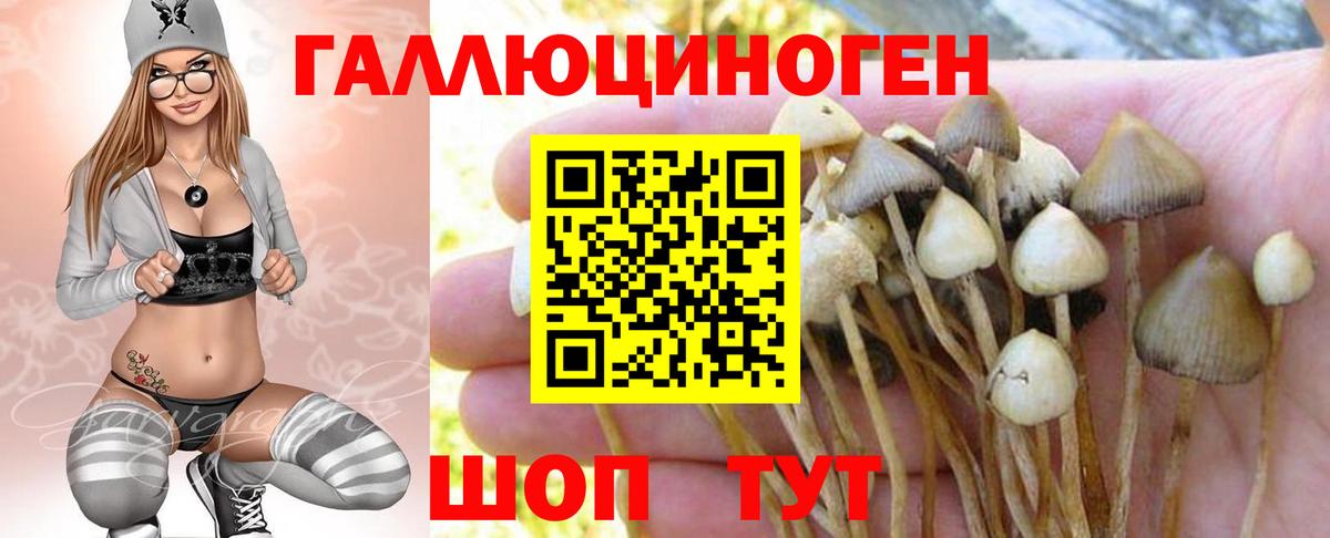 Галлюциногенные грибы мицелий Гуково
